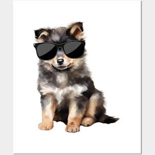 Finnish Lapphund Puppy Wearing Sunglasses Posters and Art